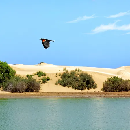 Appartamento Tamara Maspalomas (Gran Canaria)