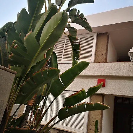 Apartamento Cocoteros - Tamara