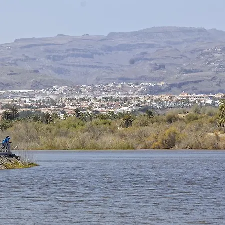 Cocoteros - Tamara Maspalomas (Gran Canaria)