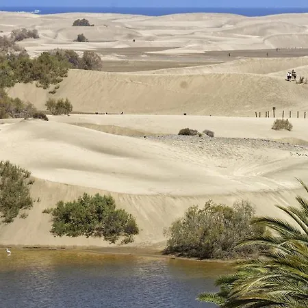 Cocoteros - Tamara Maspalomas (Gran Canaria)