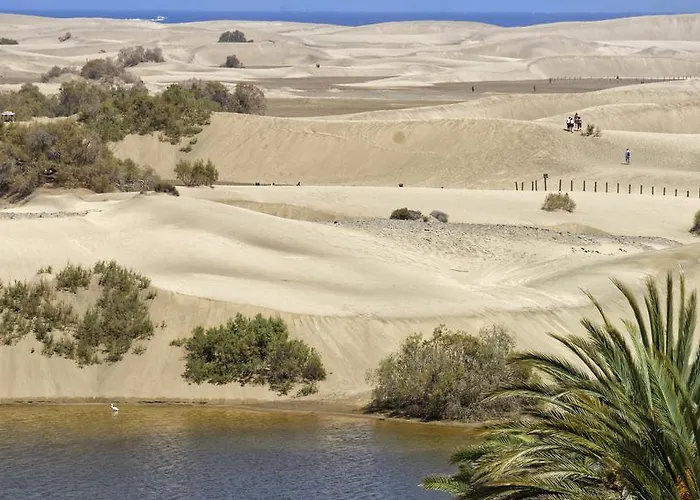 Tamara Maspalomas (Gran Canaria)