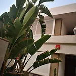 Διαμέρισμα Tamara