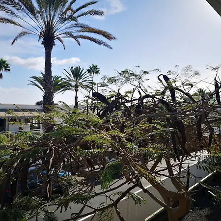 Tamara Lägenhet Maspalomas (Gran Canaria)